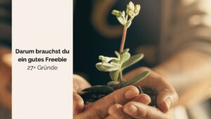 Beitragsbild dieses Blog-Artikels, es zeigt einen Setzling, der mitsamt Erde in Händen gehalten wird und soll das Wachstum symbolisieren, dass ein gutes Freebie für die E-Mail-Liste und damit fürs Online Business ermöglicht